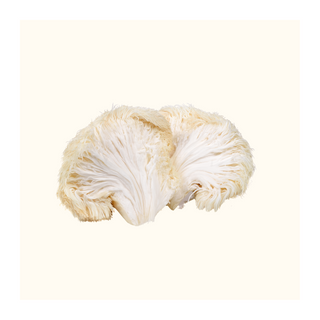 Lion’s Mane vs Traditional Nootropics Which Is Better for Cognitive Health