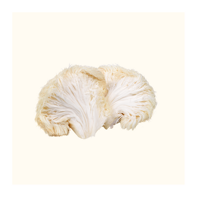 Discover the Best Morning Supplement Routine With Functional Mushrooms for Energy and Wellness