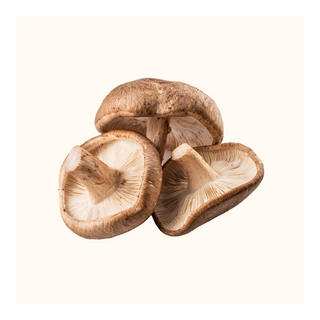 Benefit of Shiitake Mushrooms for Digestive Health and Gut Wellness