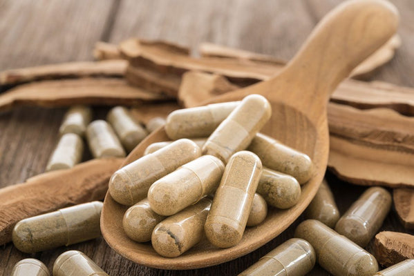Are Mushroom Supplements Beneficial?