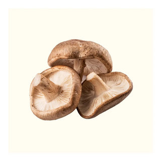 Benefit of Shiitake Mushrooms for Digestive Health and Gut Wellness - Arbor Vitamins