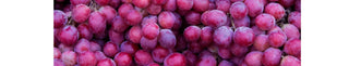 Benefits of Grape Seed in Menopause - Arbor Vitamins