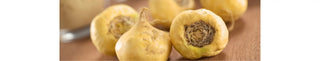 Benefits of Maca in Perimenopause - Arbor Vitamins
