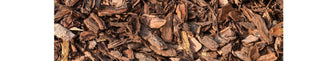 Benefits of Pine Bark in Menopause and Perimenopause | PERI & MENO - Arbor Vitamins