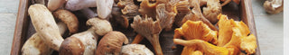 Mushrooms for Skin Health: Nature’s Secret to Hydration, Glow & Repair - Arbor Vitamins