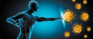 Can Selenium Really Boost the Immune System? - Arbor Vitamins