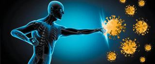 Can Selenium Really Boost the Immune System? - Arbor Vitamins