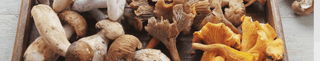 Functional Mushrooms and Immunity: Natural Support for Everyday Defence - Arbor Vitamins