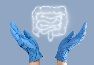 How do we absorb vitamins and minerals? - Arbor Vitamins