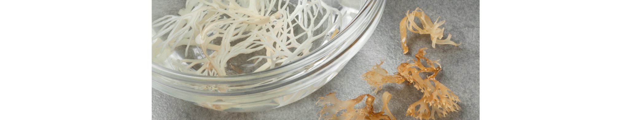 Irish Sea Moss Benefits for Menopause | PERI & MENO