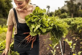 The Clean Fifteen: A Guide to the Safest Produce in the Market - Arbor Vitamins