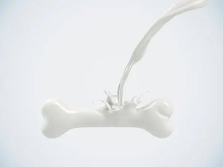 Top 10 Foods Rich in Calcium - Arbor Vitamins