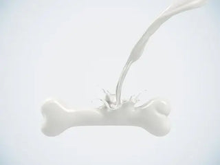 Top 10 Foods Rich in Calcium - Arbor Vitamins