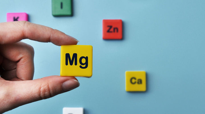 Top 10 Foods Rich in Magnesium
