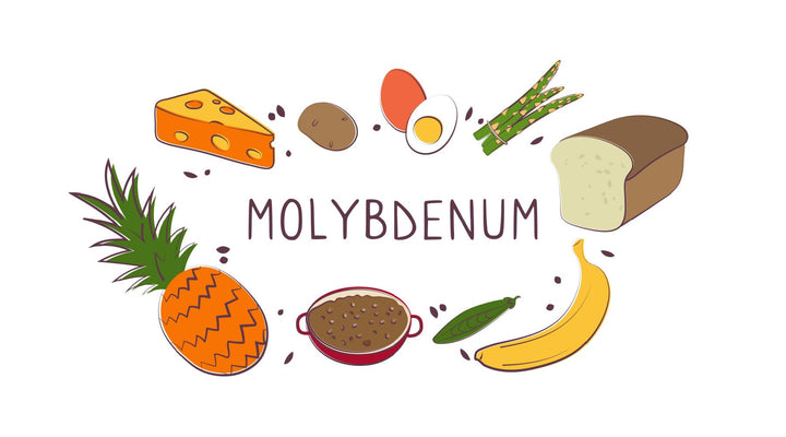 Top 10 Foods Rich in Molybdenum