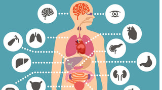 Understanding the Storage of Vitamins and Minerals - Arbor Vitamins