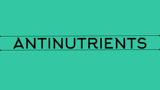 What are Antinutrients? and How to Eat Smart Around Them - Arbor Vitamins