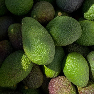 Picture of avocado to represent vitamin B5